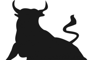 રાજકોટમાં આખલાનો આતંક, બે રાહદારીઓને અડફેટે લીધા