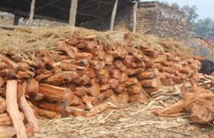 લાકડાની ચોરી પકડવા ગયેલ વનવિભાગ પર લક્કડખોરોનો હુમલો,કાર સળગાવવાનો કર્યો પ્રયાસ