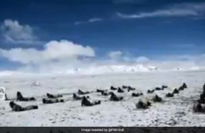 18000 ફુટની ઉંચાઈ પર યોગ દિવસની તૈયારીઓ કરતા ITBPના જવાનો