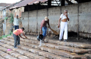 વડોદરા:પાદરામાં ગટર સાફ કરવા ઉતરેલો એક સફાઇ કામદાર ગેસ ગળતરની અસર હેઠળ,હોસ્પિટલ ખસેડાયો