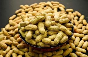 ટેકાના ભાવે ખરીદાયેલ મગફળીમાં કૌભાંડીઓનું કાવતરું વાયરલ વિડીઓમાં છતું થયું