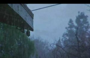 સતત ઉકળાટ વચ્ચે ક્યારે પડશે કરાફાડ વરસાદ?હવામાન વિભાગનું શું છે અવમાન?જાણો વિગત