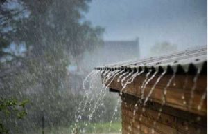 સુરત અને તાપીમાં સાંબેલાધાર વરસાદ,નિઝરમાં 3 ઈંચથી વધુ ખાબકતા થયું તરબોળ