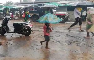 રાજ્યમાં સાર્વત્રિક વરસાદ:છેલ્લા 24 કલાકમાં વરસાદે રાજ્યના 31 જિલ્લાઓને કર્યા તરબોળ