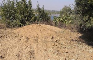 બનાસકાંઠાઃ રેતીની તસ્કરી પર ભૂસ્તર વિભાગનો ભરડો,ભૂસ્તર વિભાગની ટીમે મોડીરાત્રે રેડ કરી 9 ડમ્પરો સાથે 3 કરોડનો મુદ્દામાલ જપ્ત કર્યો