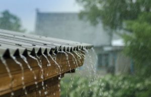 હવામાન વિભાગે વરસાદને લઇને કરી આગાહી, ગુજરાતમાં આગામી 5 દિવસ પડશે ધોધમાર વરસાદ