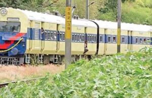 ત્રિવેન્દ્રમ એક્સપ્રેસમાં લૂંટારુંઓનો પીછો કરતા માતા-પુત્રીનું ટ્રેનમાં પડી જવાથી મોત
