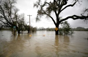 હાંસોટમાં બે કલાકમાં 6 ઇંચથી હાહાકાર,ઉમરપાડા અને કપરાડામાં 12-12 ઇંચ, ગાભા કાઢી નાખ્યા