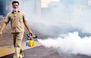 અમદાવાદના 6 વિસ્તાર ડેન્ગ્યુના મચ્છરોના ઉપદ્રવથી ત્રસ્ત, ખાડિયામાં સહિત આ જગ્યાએ મચ્છરનું પ્રમાણ વધુ