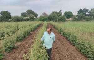 ભરૂચ જિલ્લાના ખેડૂતો રાસાયણિક ઉદ્યોગોથી ત્રાહિમામ, વડાપ્રધાન સહિત તંત્રને લેખિત રજુઆત