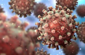 ગુજરાત કોરોના :આજે નવા 12 કેસ, 12 દર્દી સાજા થયા, એક પણ મોત નહી.