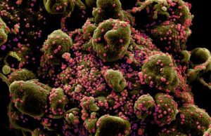 જીવલેણ કોરોનાના 24 કલાકમાં 25 હજાર નવા કેસ નોંધાયા