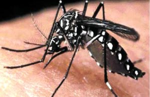 બાળકોને લઈને ચિંતાજનક સમાચાર,ડેન્ગ્યુ,મેલેરિયા શરદી અને તાવના કેસોમાં થયો અચાનક ધડાધડ વધારો,