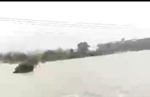 જામનગરના બાણુગારમાં 22 ઇંચ વરસાદ: પૂરમાંથી લોકોને બચાવવા કામે લાગ્યા.