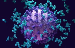 ગુજરાતમાં કોરોનાનો વધતો પ્રકોપ, આજે કોરોનાના નવા 968 કેસ નોંધાયા