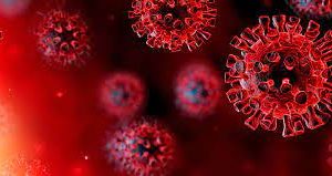 ભારતમાં છેલ્લા 24 કલાકમાં કોરોનાના આટલા કેસો અને મોતના આંકડા નોંધાયા