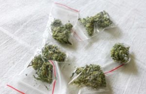 ડ્રગ નેટવર્કનો પર્દાફાશ, પોલીસે ડ્રગ્સના જથ્થા સાથે આરોપીની કરી અટકાયત