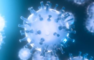 GUJARAT CORONA UPDATE: 14 નવા કેસ, 17 રિકવર થયા, એક પણ મોત નહી