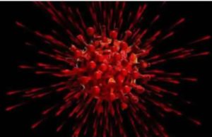 ગુજરાતમાં નવા 25 કેસ નોંધાયા, બીજી તરફ કોરોનાનો રિકવરી રેટ પણ 98.76 ટકાએ પહોંચ્યો છે.