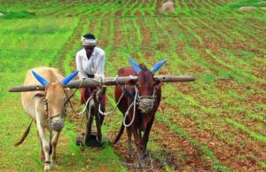 રાજ્ય સરકાર દ્વારા સત્તાવાર કૃષિ પેકેજની જાહેરાત કરાઇ, જાણો ખેડૂતોને કેટલો મળશે લાભ