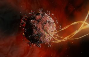 ભારતમાં છેલ્લા 24 કલાકમાં 7350 નવા કેસ નોંધાયા, 202 લોકોએ ગુમાવ્યો જીવ