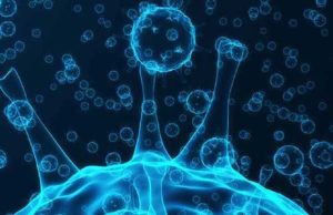 દેશમાં છેલ્લા 24 કલાકમાં કોરોનાના આટલા કેસો નોંધાયા, 251 લોકોના મોત