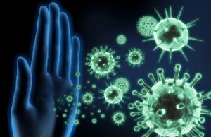 આજે રાજ્યમાં 29 નવા કેસ, 24 દર્દી રિકવર થયા, એક પણ મોત નહી