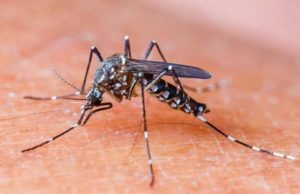 ઉત્તર પ્રદેશમાં ડેન્ગ્યુના દર્દીની સંખ્યા બેગણી થઈ ગઈ, લોકો હેરાન પરેશાન