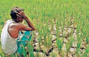 ગુજરાતમાં વાતાવરણનો પલટો, કમોસમી વરસાદની સંભાવના જોતા ખેડૂતોની ચિંતા વધી