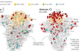 કોરોનાના નવા વેરિએન્ટ Omicron ની પહેલી તસવીર સામે આવી, વધુ પડતું થાય છે મ્યુટેશન