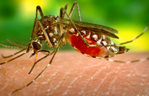 ઝિકા વાયરસના 10 કેસ નોંધાયા બાદ યુપીના આ જિલ્લામાં હાહાકાર, CM યોગીએ તાબડતોબ આપ્યા આદેશ