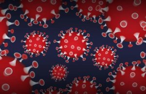 ગુજરાતમાં કોરોના કેસમાં સતત વધારો, આજે નવા 61 કેસ નોંધાયા