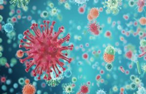 ગુજરાતમાં વધતો કોરોના, આજે રાજ્યનાં નવા 55 કેસ, 48 દર્દીઓ સાજા