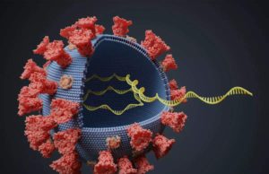 ઓમિક્રોનને હળવો કહેવો ભૂલભર્યો! ઇન્ફેક્શન શરીરના આ અંગોને કરે છે જોરદાર નુકસાન- દાવો