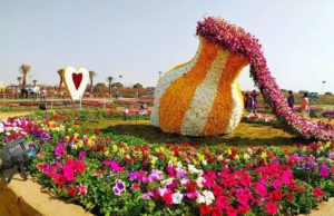 AMCનેઆખરે ભાન થયું : અમદાવાદમાં ફ્લાવર શો અને કાઈટ ફેસ્ટિવલ પર લેવાયો મોટો નિર્ણય, જાણો અહીં ક્લિક કરી