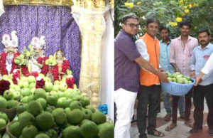 વડતાલ ધામમાં 1,000 કિલો જામફળનો અન્નકુટ ધરાવાયો