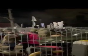 રોમાનિયા-પોલેન્ડ બોર્ડર ઉપર ભારતીયોને પોલીસે લાતો મારી, વાળ પકડીને પછાડ્યા, પોલીસનો અત્યાચાર જુઓ Video