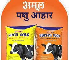 અમૂલ ન્યુટ્રી ગોલ્ડ 50 કિલો દાણના ભાવમાં 135 રૂ.નો વધારો, ટૂંક સમયમાં આઈસ્ક્રીમના ભાવોમાં વધારો આવશે