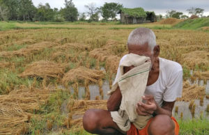 હવામાન વિભાગની આગાહી : ગુજરાતના વાતાવરણમાં આવશે ફરી પલટો