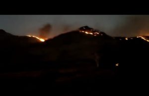 અમરેલીના લાપાળા ડુંગર પર મોડી રાત્રે લાગેલી આગ હજુ યથાવત; સિંહોના રહેઠાણ નજીક જ આગ લાગતા વનવિભાગ પણ એલર્ટ, જુઓ Video