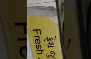 અમદાવાદ સિવિલ હોસ્પિટલની કેન્ટિનમાં સ્વચ્છતાના નામે મીંડુ; કેન્ટીનમાં ઉંદર બિન્દાસ્ત રીતે તડબૂચ ખાતો દેખાયો, જુઓ Viedo