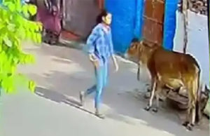ગ્વાલિયર: બોયફ્રેન્ડની સગાઈથી યુવતી હતી નારાજ; પેટ્રોલની બોટલ લઈને પહોંચી પ્રેમીના ઘરે, પોતાના પર પેટ્રોલ નાખીને કર્યો ‘આત્મદાહ’નો પ્રયાસ!