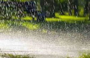 વરસાદની આગાહી; મધ્યપ્રદેશ, ઉત્તર પ્રદેશ, હરિયાણા અને પંજાબમાં સામાન્ય કરતાં વધુ પડી શકે છે વરસાદ!