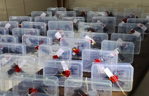 ATS દ્વારા ‘સફળ’ ઓપરેશન : ગુજરાત ATSએ હથિયારોના વેચાણનું ઝડપ્યું ‘રેકેટ’, સૌરાષ્ટ્રના 24 લોકો પાસેથી 54 ગેરકાયદેસર હથિયાર કર્યાં કબજે!