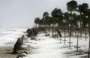 વિશાખાપટ્ટનમ-કાકીનાડામાં રેડ એલર્ટ : આંધ્રપ્રદેશમાં પહોંચ્યું ‘અસાની’ વાવાઝોડું, 33 ફ્લાઈટ રદ કરી છે!