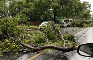 વરસાદથી આફત : રાજધાની દિલ્હીમાં વાવાઝોડા સાથે વરસાદ; વિમાની સેવા ખોરવાઈ અને માર્ગો પર થયો ભારે ટ્રાફિક જામ, અનેક વિસ્તારોમાં પડ્યા ‘કરા’!