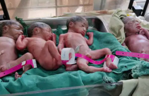 ચાર ગણી ખુશી: મધ્યપ્રદેશના બાલાઘાટ હોસ્પિટલમાં એક અનોખો કિસ્સો; જિલ્લા હોસ્પિટલમાં 26 વર્ષની મહિલા 3 પુત્ર અને એક દીકરીને આપ્યો “જન્મ”!