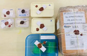 અથાણાં-ગરમ મસાલાની વચ્ચે સંતાડાયું હતું ડ્રગ્સ; રેવ પાર્ટીમાં જતી યુવતીઓનું શોષણ કરવા વપરાતું 2.5 કરોડનું કેટામાઇન ડ્રગ્સ ક્રાઈમ બ્રાન્ચે ઝડપ્યું!