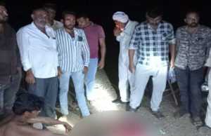 બગસરા: વાડીએ રમતી બાળકીને સિંહ અડધો કિ.મી. સુધી ‘ઢસડી’ ઉપાડી ગયો, પિતાએ સિંહ પાછળ દોટ મૂકી બચાવવાના પ્રયાસ કર્યાં પરંતુ રહ્યાં ‘નિષ્ફળ’!