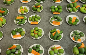 હવે મોંઘવારી ક્યા ગઈ?; ગાંધીનગરમાં મેંગો ફેસ્ટિવલમાં દેશ-વિદેશની વેરાઇટીવાળી કેરી ખરીદવા લોકો પહોંચ્યા, 1 જ દિવસમાં 47 લાખનું વેચાણ!